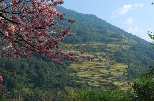 annapurna-day-4